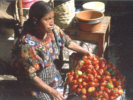 Tomates. Chichicastenango, Guatemala