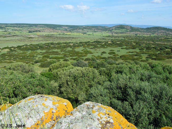 Vista del valle desde la parte superior del nuraghe Santa B&aacute;rbara, Villanova Truschedu