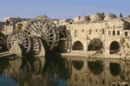 Hama