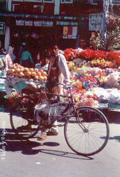Puesto de frutas rodante, Kahtmandhu, Nepal