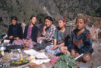 Vendedores de verduras, Valle del Khumbu, Nepal